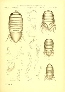n304_w1150
