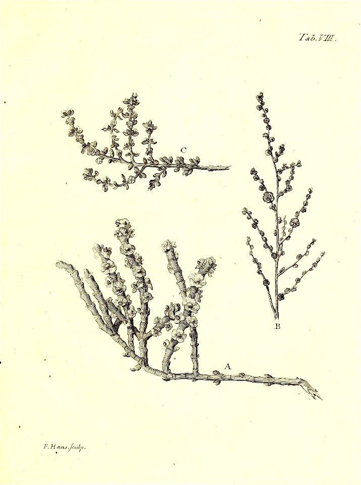n44_w1150