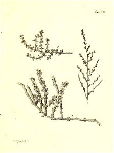 n44_w1150