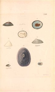 n164_w1150