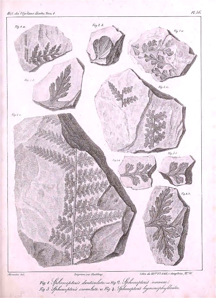 n432_w1150