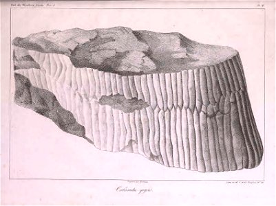 n372_w1150