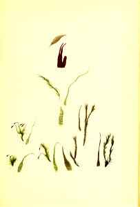 n150_w1150