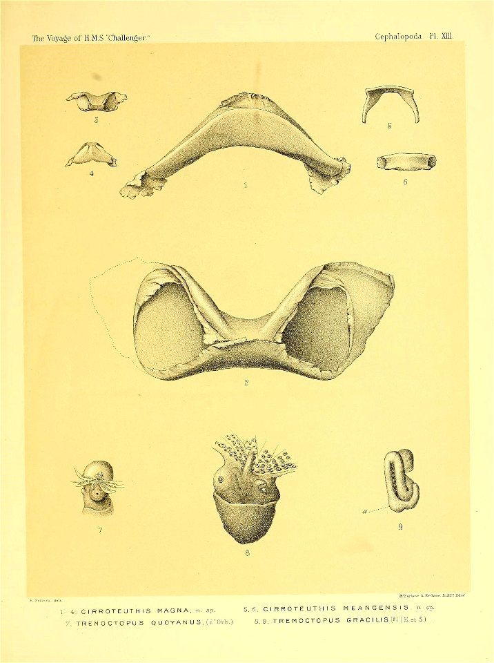 n318_w1150