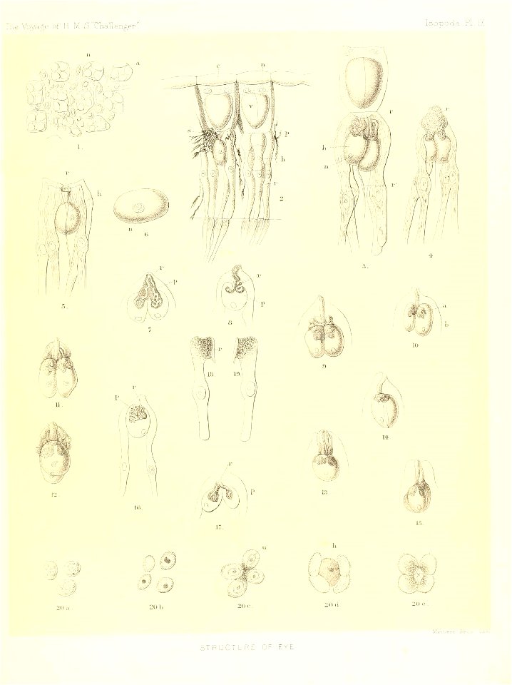n126_w1150