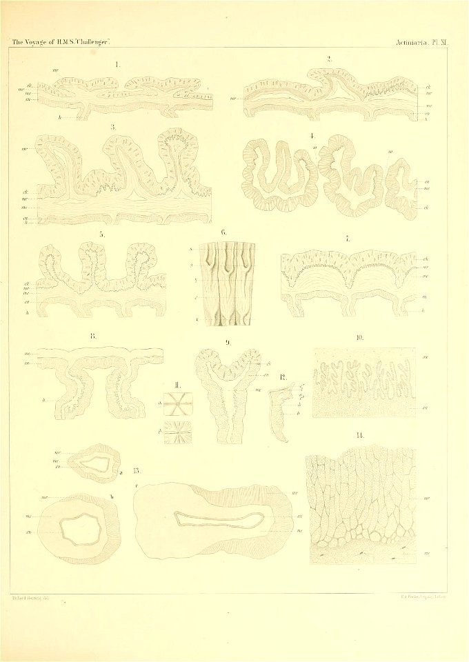 n190_w1150