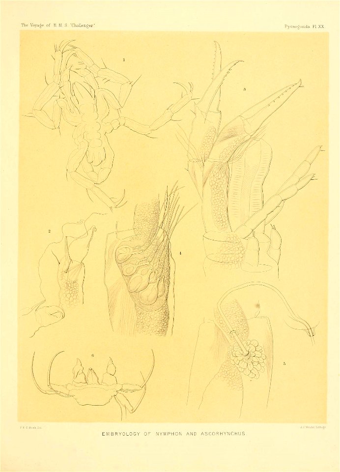 n214_w1150
