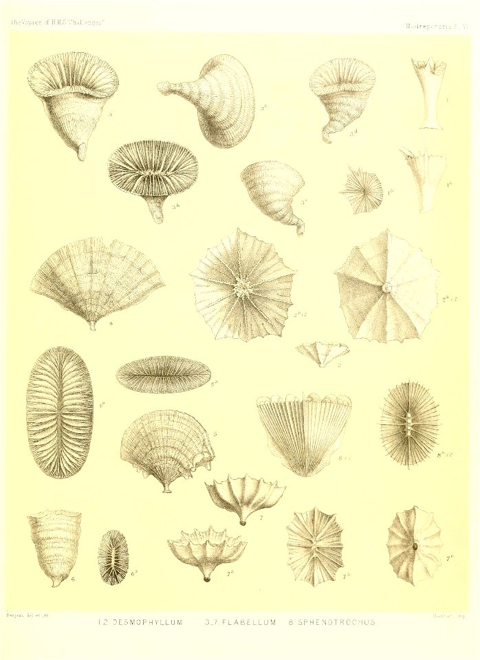 n304_w1150