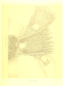n274_w1150