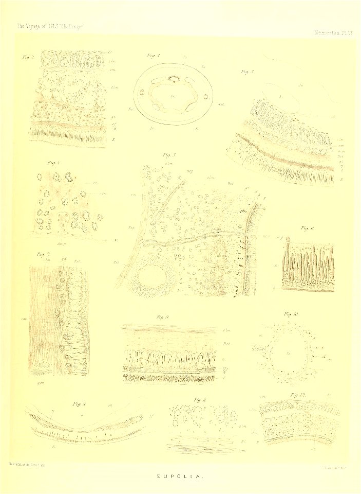n192_w1150