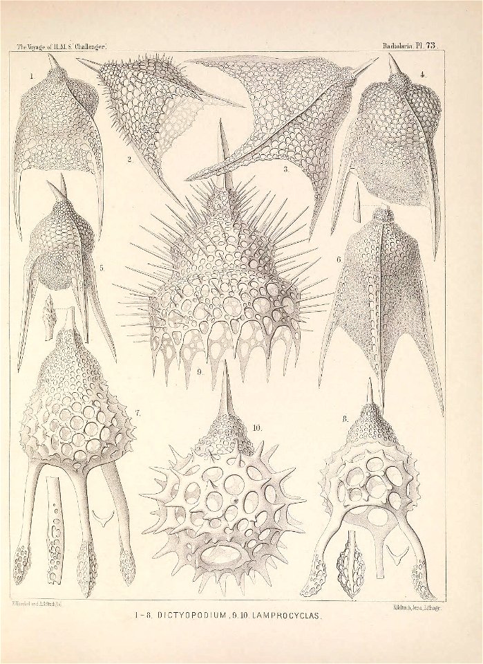 n304_w1150