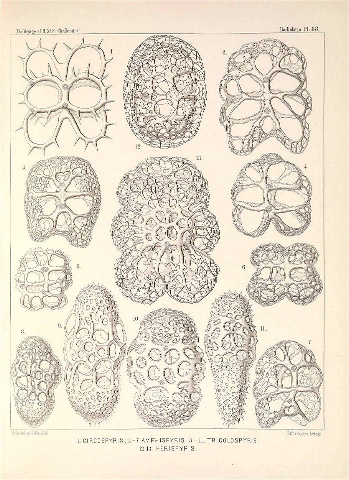n364_w1150