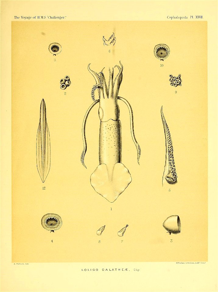 n374_w1150