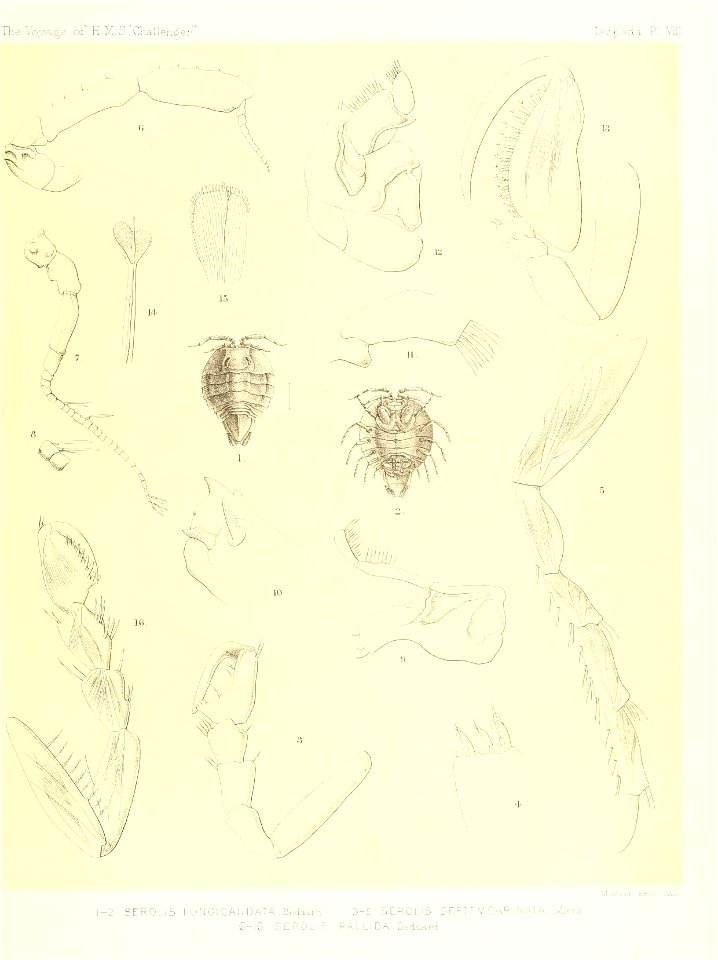 n122_w1150