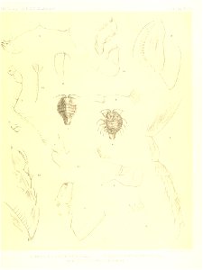 n122_w1150