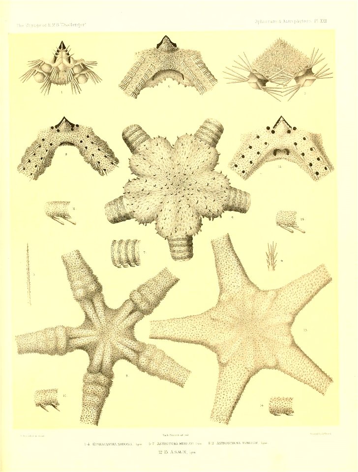 n434_w1150
