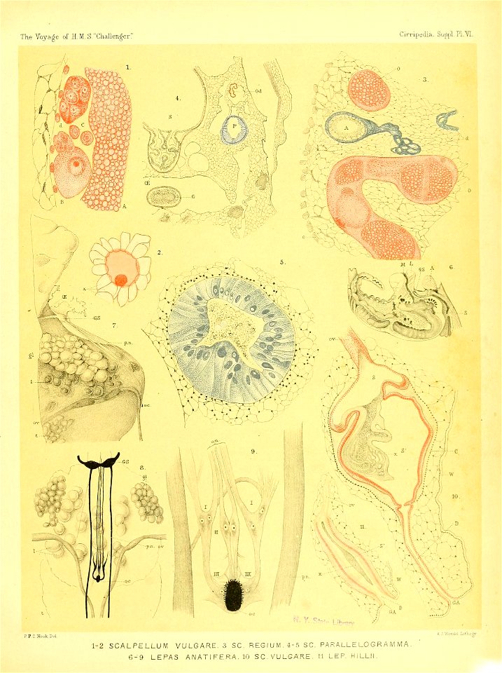 n404_w1150