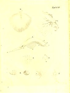 n120_w1150