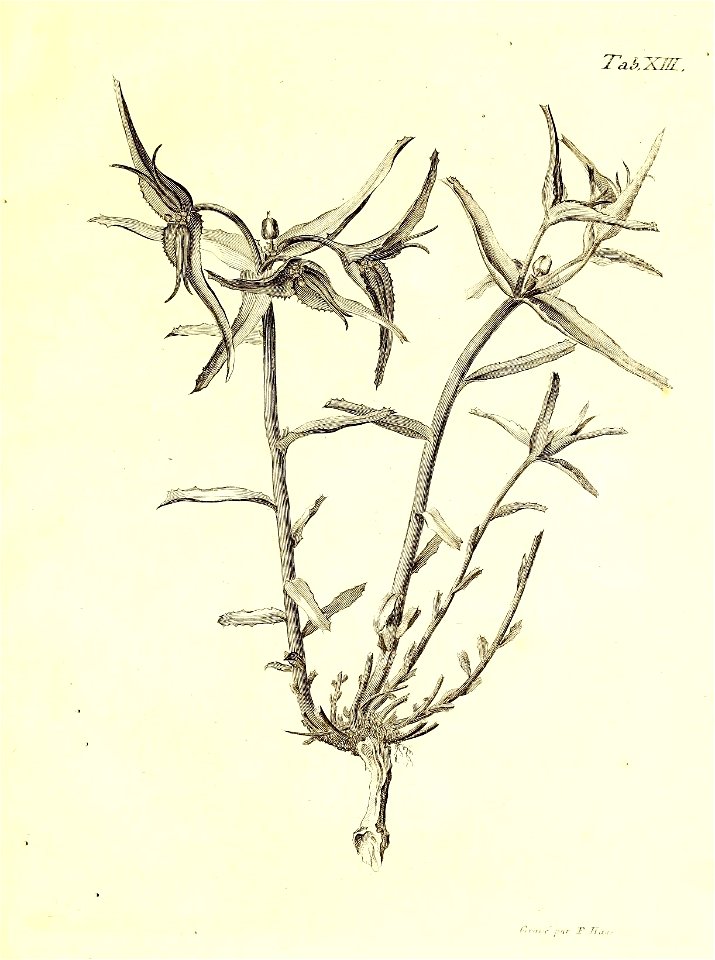 n54_w1150