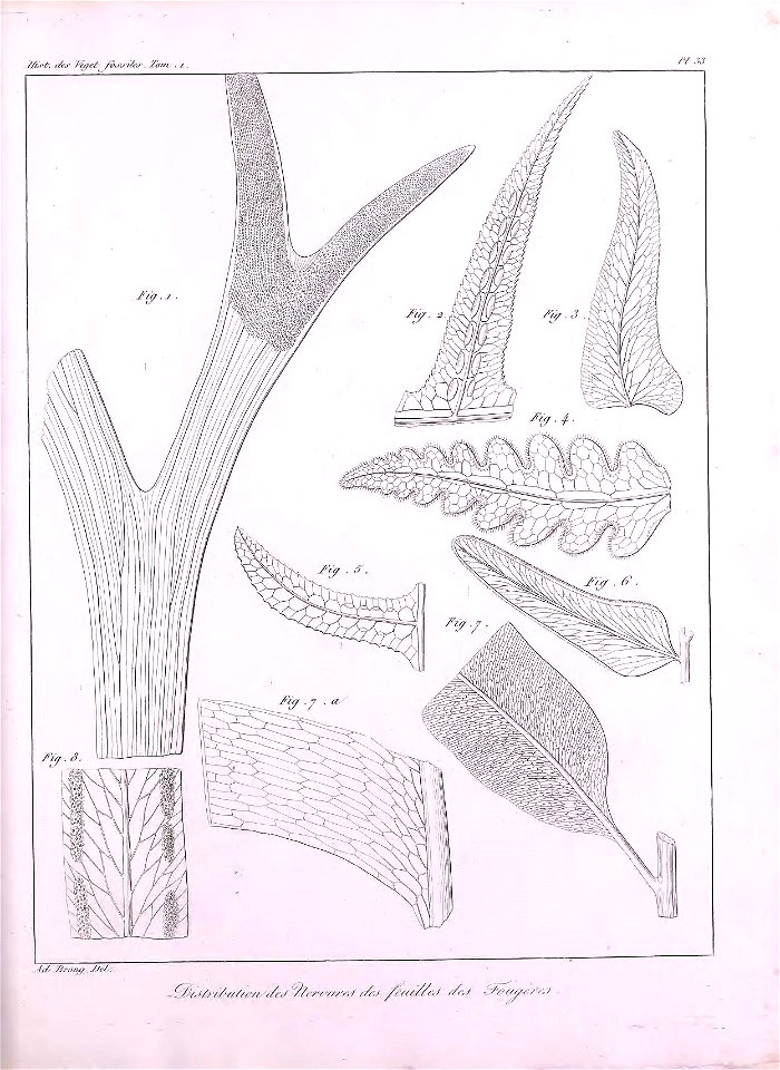 n384_w1150