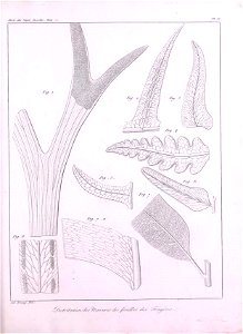 n384_w1150