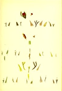 n202_w1150