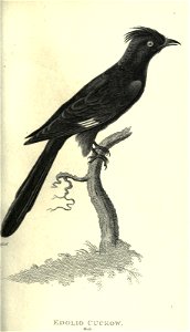 n178_w1150