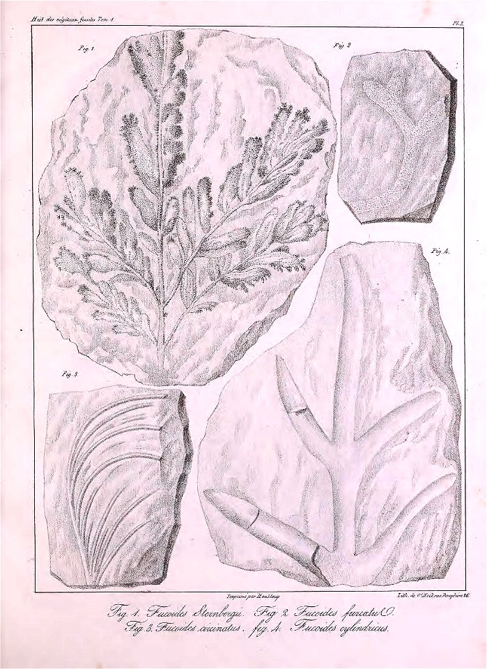 n322_w1150