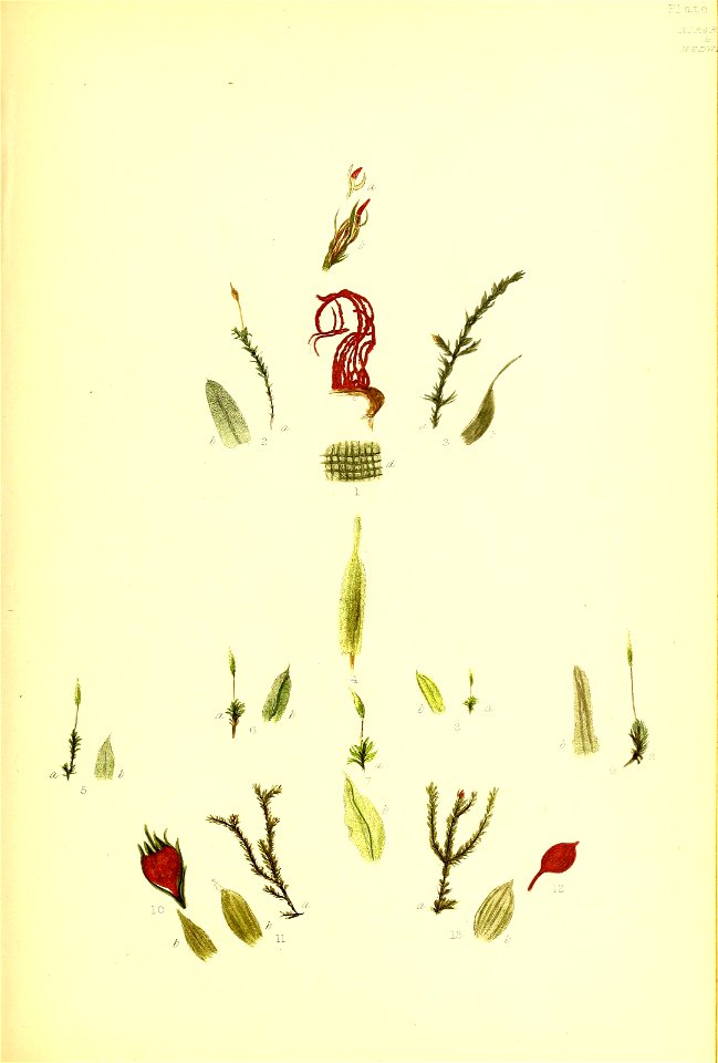 n192_w1150