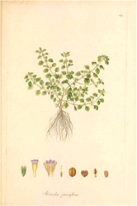 n122_w1150