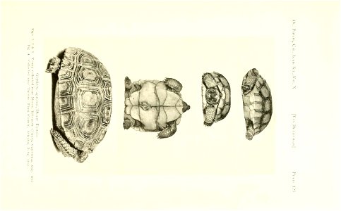 n512_w1150