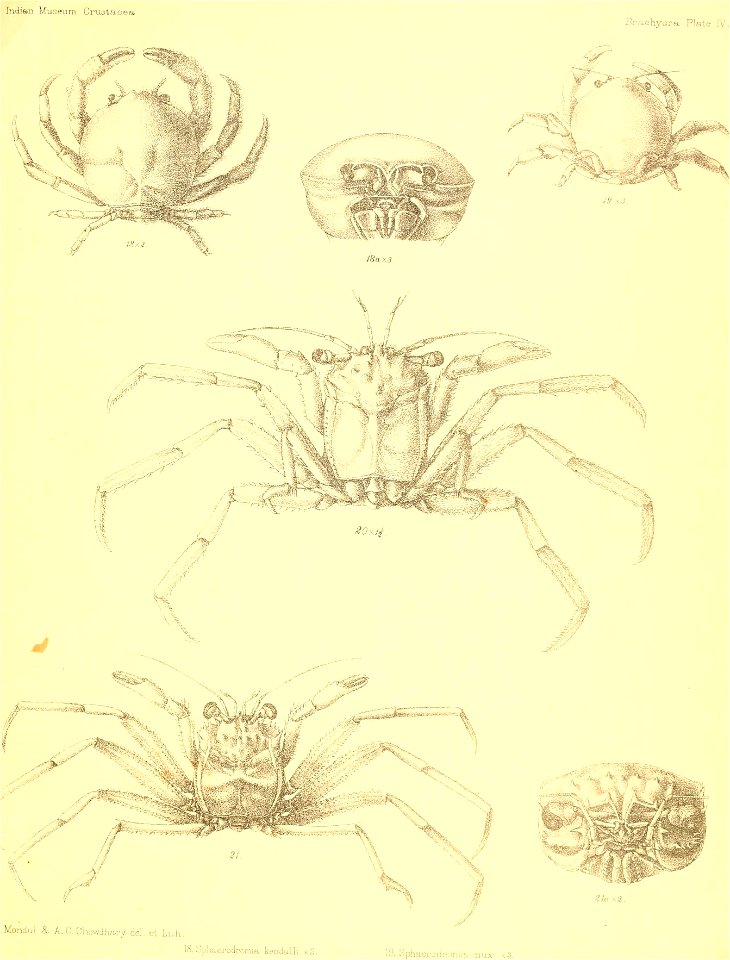 n102_w1150