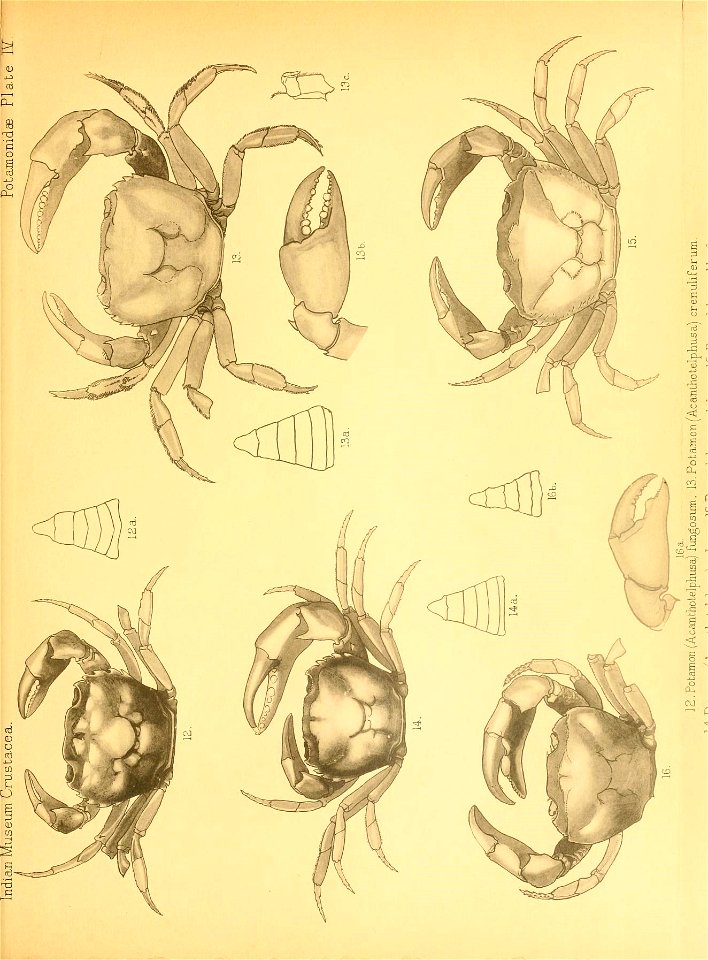 n156_w1150