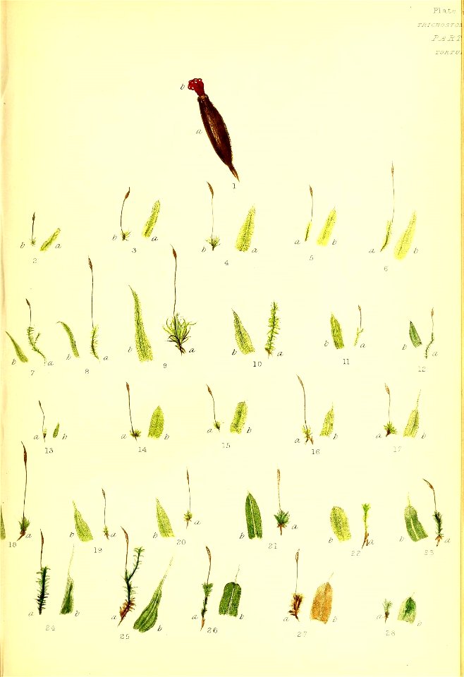 n180_w1150