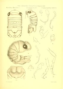 n308_w1150