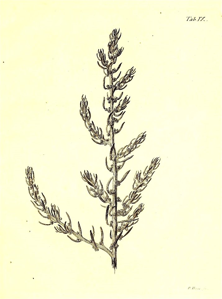 n46_w1150