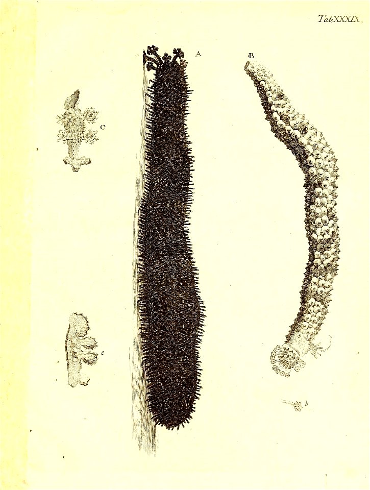 n112_w1150