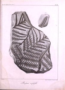 n498_w1150