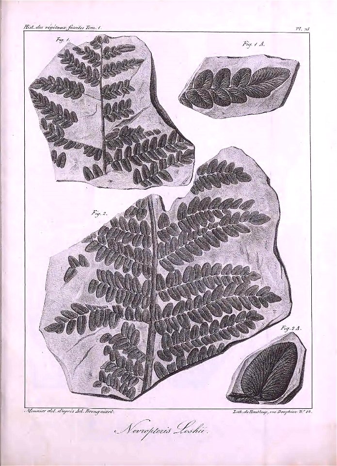 n468_w1150