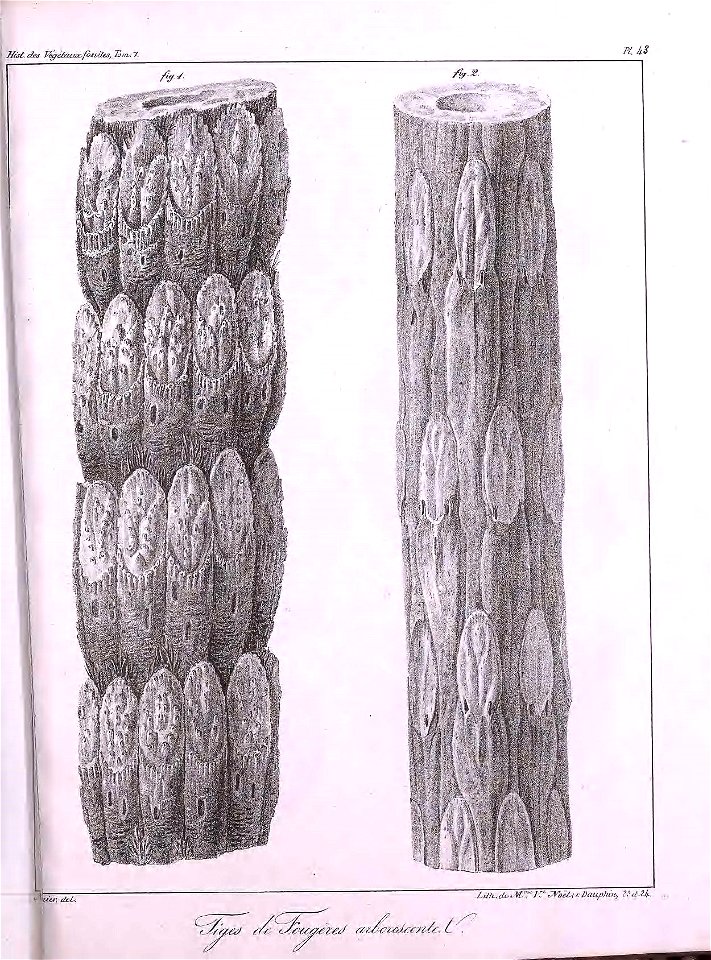 n406_w1150
