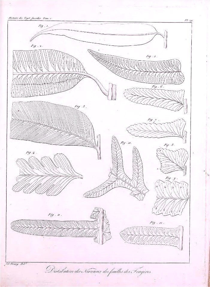 n376_w1150