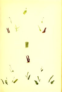 n166_w1150