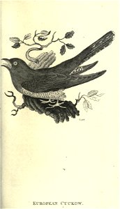 n122_w1150