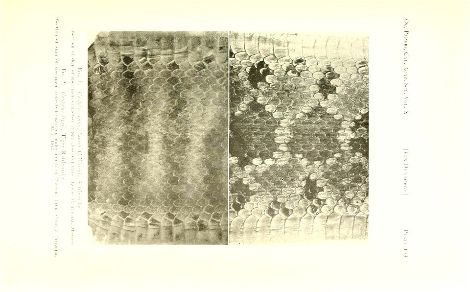 n386_w1150