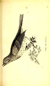 n504_w1150