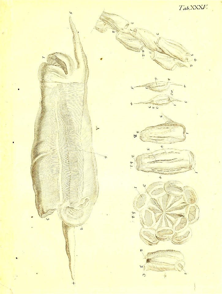 n104_w1150