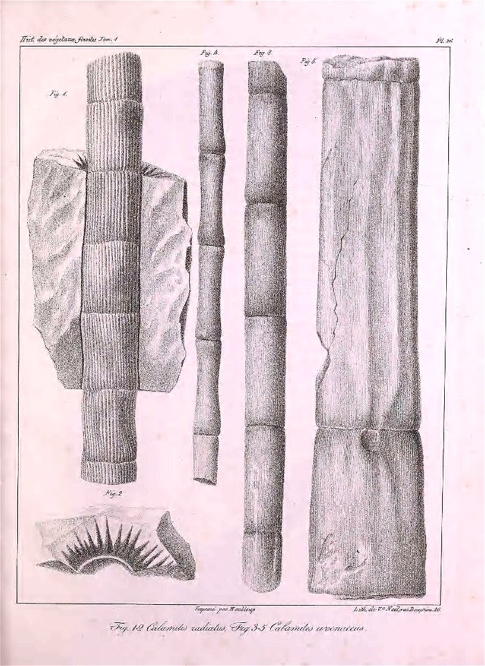n370_w1150
