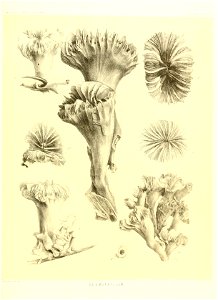 n302_w1150