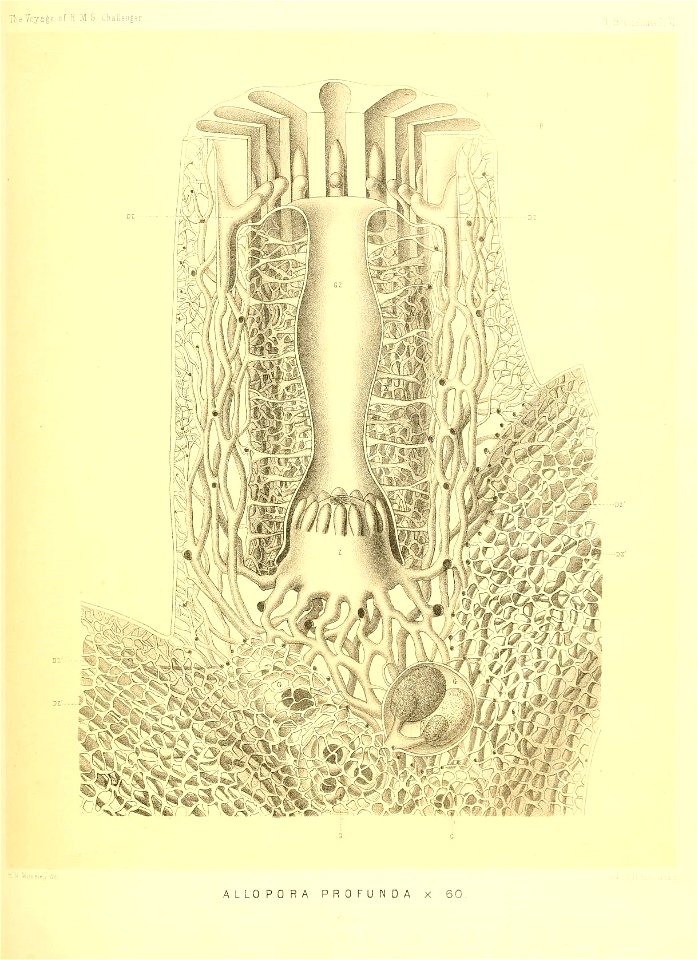 n272_w1150