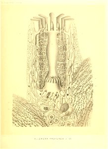 n272_w1150
